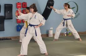 Image result for Ji Shin Do Karate