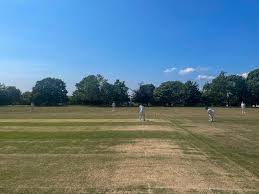 Image result for Tendring Cricket Club