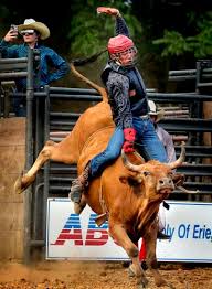 Image result for Winchester Riding Club