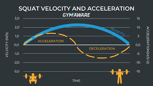 Image result for Velocity