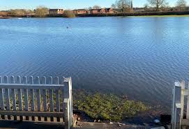 Image result for Ransome & Marles Cricket Club