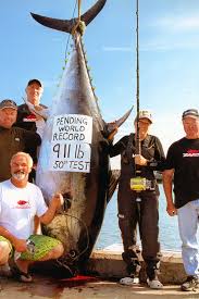 Image result for giant tuna