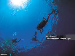 Image result for Three Seas Diving