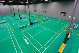 Image result for Lancing Badminton Club
