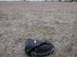 Attēlu rezultāti vaicājumam “Trifolium arvense fruit”