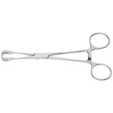 Attēlu rezultāti vaicājumam “Physarum luteolum sessile”