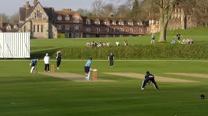 Image result for Bradfield Cricket Club