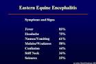 IDP200 Pathophysiology of Infectious Diseases, Fall 2004/2005 ...