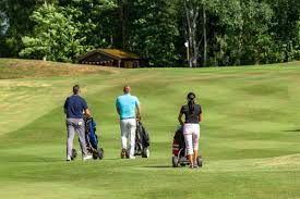 Image result for Betchworth Park Golf Club
