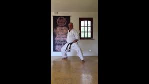 Image result for Jin Sei Kai Shotokan Karate
