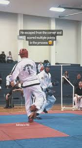 Image result for I T F Taekwondo (Andover)