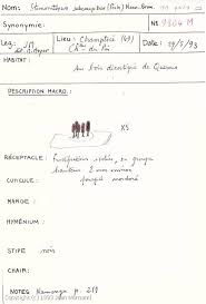 Attēlu rezultāti vaicājumam “Stemonitopsis subcaespitosa spores”