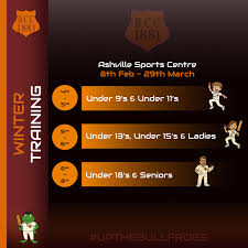 Image result for Bilton Cricket Club