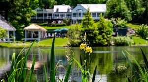 Image result for Cedars Badminton Club