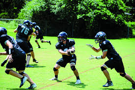 Image result for Dover Pirates