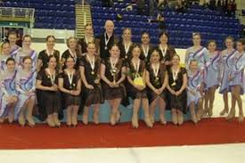 Image result for Bracknell Ice Skating Club