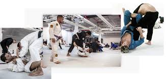 Image result for Unity School Of Jiu Jitsu