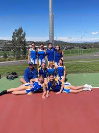 Image result for Sports Centre Netball