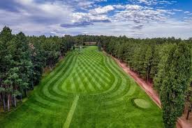 Image result for The Alt Golf Club