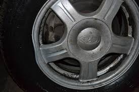 Картинки по запросу белку зажевало в диск