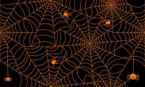 Image result for web patterns