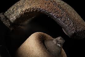 Attēlu rezultāti vaicājumam “Trichia crateriformis”