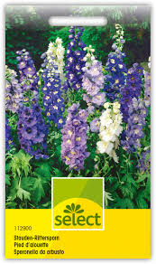 Image result for Rittersporn