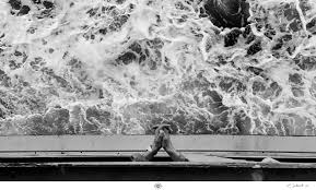 Image result for Rossington Asc