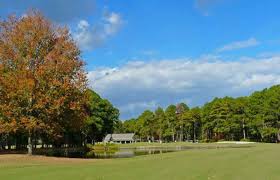 Image result for Dolphina Gc