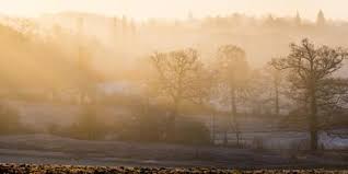 Image result for Surrey Bowmen