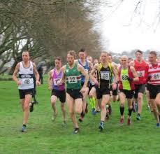 Image result for North Shields Polytechnic Club