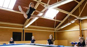 Image result for Loughton Gymnastics Club