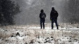 Image result for schnee