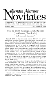 Attēlu rezultāti vaicājumam “Aphelia viburniana”