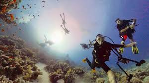 Image result for Harlow Sub-Aqua Club