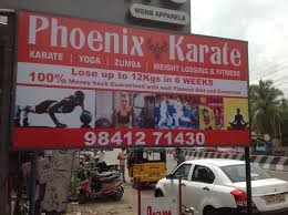 Image result for Phoenix Star Judo Club