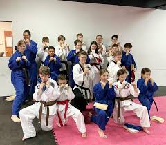Image result for Freedom Martial Arts