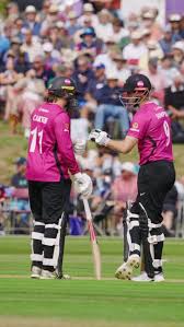 Image result for Antelope & Castle Cricket Club