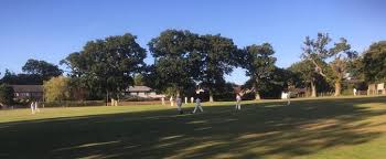 Image result for Chew Magna Cricket Club