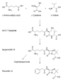 220px-Penicillin-biosynthesis.png