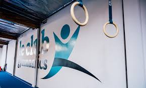 Image result for Ruxley Gymnastics Club