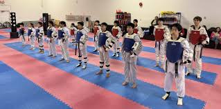Image result for Kees Tae Kwon Do