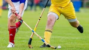 Image result for Cornwall Shinty Club