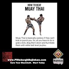 Image result for Bujinkan Plymouth Dojo