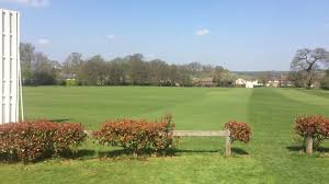 Image result for Welwyn Garden City Cricket Club