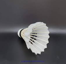 Image result for Feathers Badminton- Leatherhead