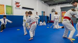 Image result for Hoghton Judo Club