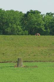 Image result for Horndon On The Hill Cc