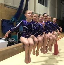 Image result for Kestrel Gymnastic Group