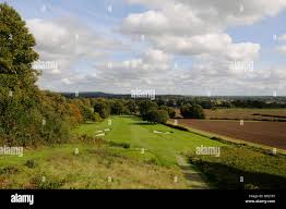 Image result for Betchworth Park Golf Club